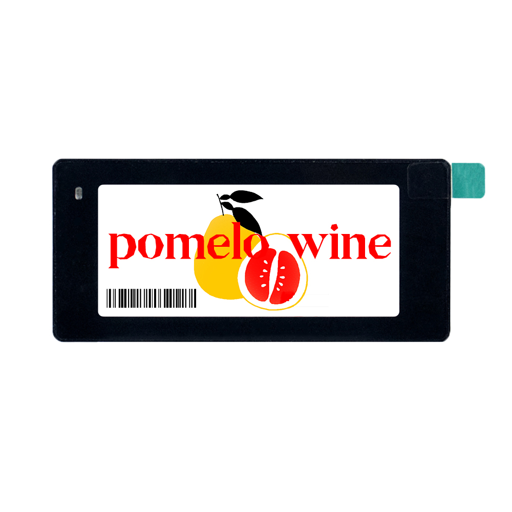 Epaper Esl Quattro colori Blac - Display Epaper 2.9 recensione e prezzo